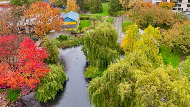 Saiba quais são as profissões em alta demanda no Canadá