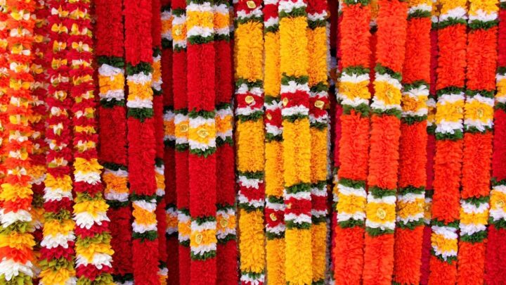 A Galeria Dobra e Artnova apresentam a exposição ‘O Olhar que Abraça o Real’, da fotógrafa Renata Grangeiro