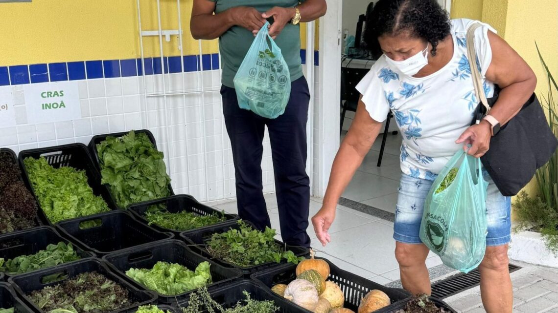 Maricá distribui hortaliças e legumes produzidos em praças agroecológicas do município