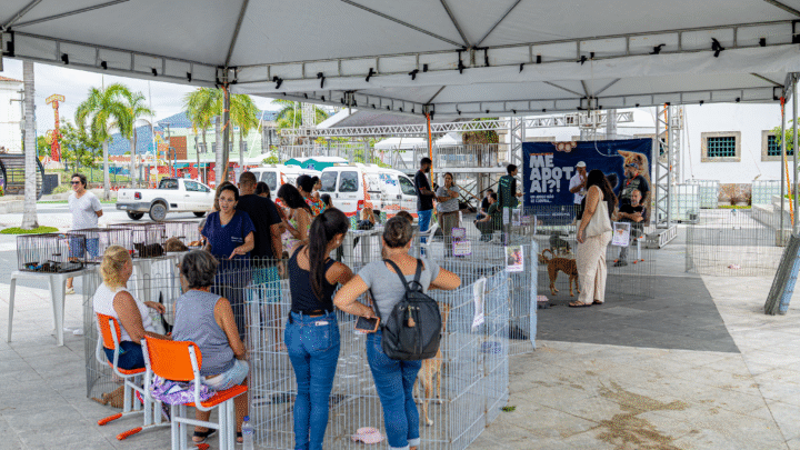 Prefeitura de Maricá promove adoção responsável e cadastro para castração de cães e gatos