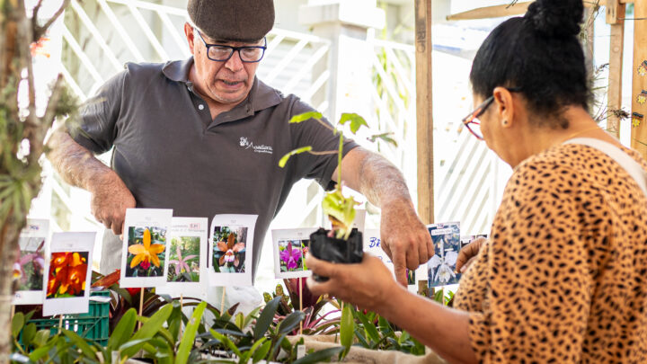 Prefeitura de Maricá promove Feira de Agricultura Familiar neste sábado (07/02)