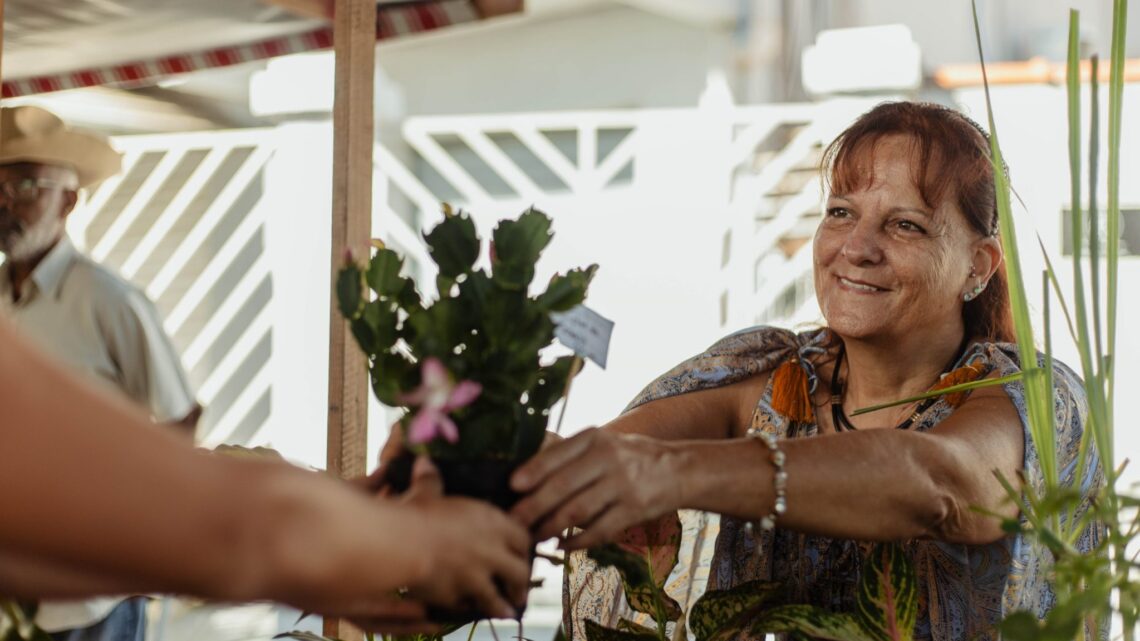 Maricá: Feira da Agricultura Familiar reúne produtores e moradores em Araçatiba