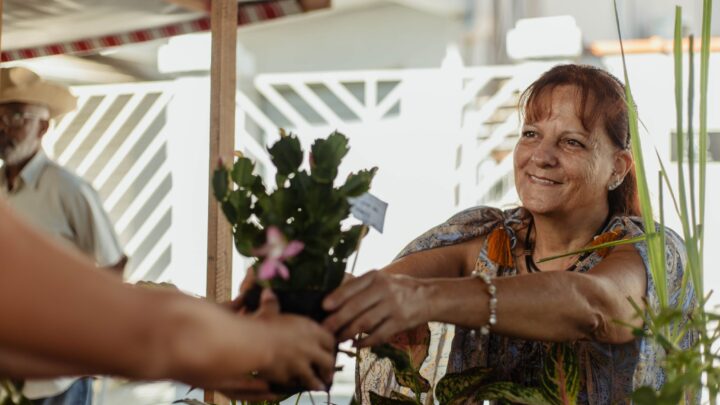 Maricá: Feira da Agricultura Familiar reúne produtores e moradores em Araçatiba