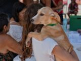 Prefeitura de Maricá promove campanha de adoção de cães e gatos em Ponta Negra